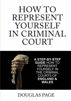 How To Represent Yourself In Criminal Court