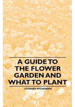 A Guide to the Flower Garden and What to Plant