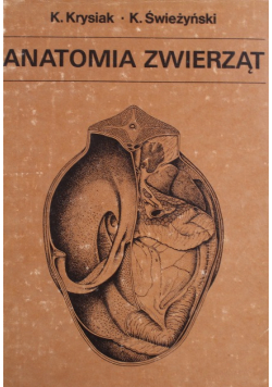 Anatomia zwierząt