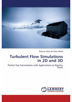 Turbulent Flow Simulations in 2D and 3D