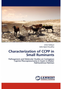 Characterization of CCPP in Small Ruminants