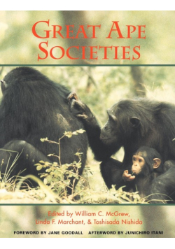 Great Ape Societies