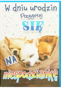Kartka okolicznościowa Urodziny TS92