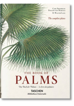 The Book of Palms