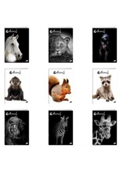 Zeszyt A4/60K kratka ANIMALS MIX (10szt)