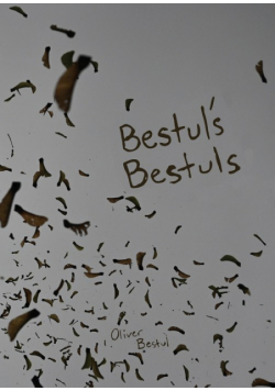 Bestul's Bestuls