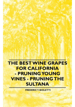 The Best Wine Grapes for California - Pruning Young Vines - Pruning the Sultana