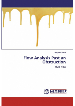 Flow Analysis Past an Obstruction