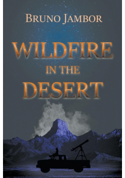 Wildfire in The Desert