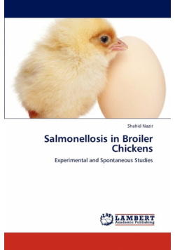 Salmonellosis in Broiler Chickens
