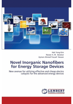 Novel Inorganic Nanofibers for Energy Storage Devices