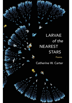 Larvae of the Nearest Stars