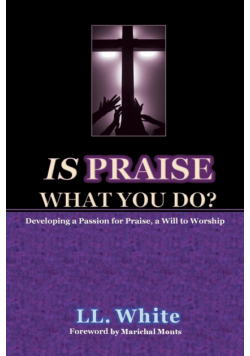 Is Praise What You Do?