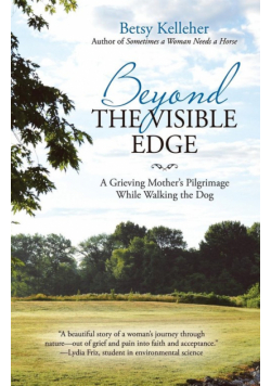 Beyond the Visible Edge