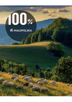 100 % małopolska