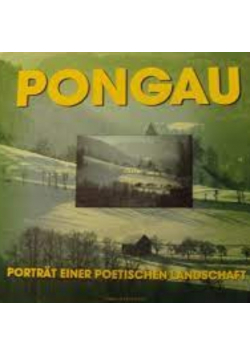 Pongau portrait einer poetischen