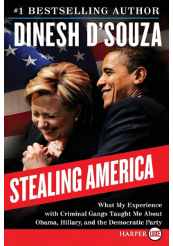 Stealing America LP