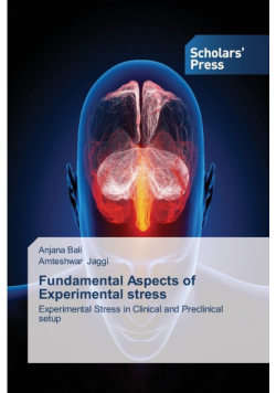 Fundamental Aspects of Experimental Stress