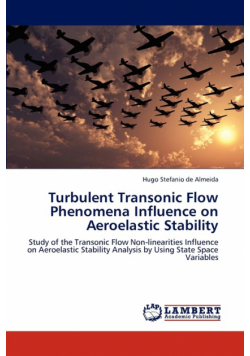 Turbulent Transonic Flow Phenomena Influence on Aeroelastic Stability