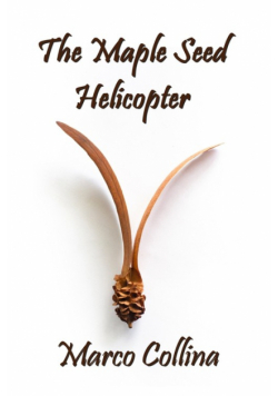 The Maple Seed Helicopter