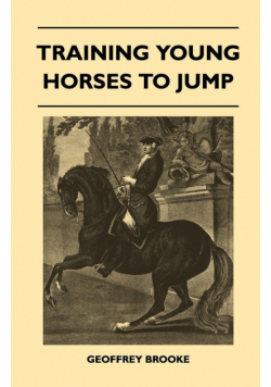 Training Young Horses To Jump