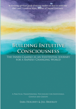 Building Intuitive Consciousness