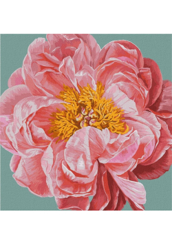 Malowanie po numerach - Pink kiss 40x40cm