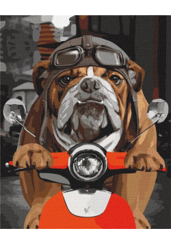 Malowanie po numerach - Spróbuj dogonić 40x50cm