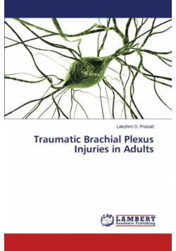 Traumatic Brachial Plexus Injuries in Adults