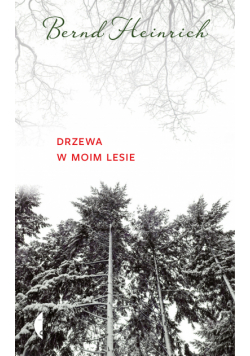 Drzewa w moim lesie