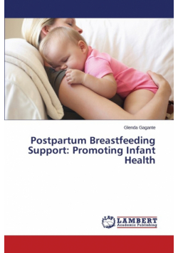 Postpartum Breastfeeding Support