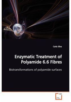 Enzymatic Treatment of Polyamide 6.6 Fibres