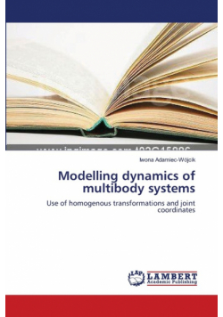 Modelling dynamics of multibody systems