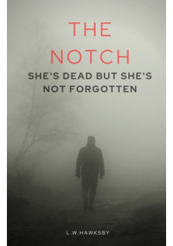 The Notch