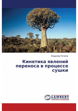 Kinetika Yavleniy Perenosa V Protsesse Sushki