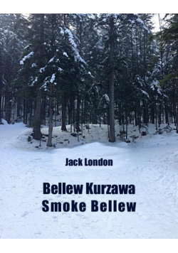 Bellew Kurzawa. Smoke Bellew