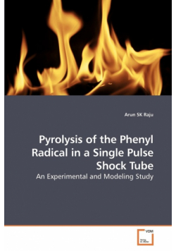 Pyrolysis of the Phenyl Radical in a Single Pulse Shock Tube