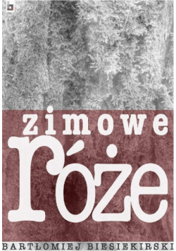 Zimowe róże