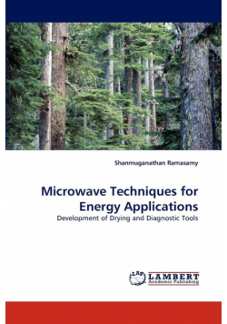 Microwave Techniques for Energy Applications