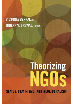 Theorizing NGOs
