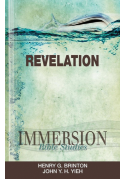 Immersion Revelation