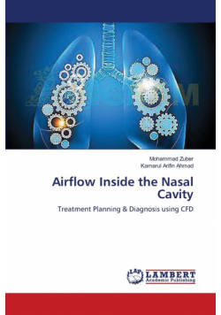 Airflow Inside the Nasal Cavity