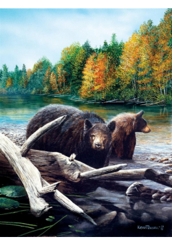 Puzzle 1000 Poranny spacer
