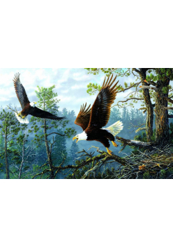 Puzzle 1000 Rodzina orłów