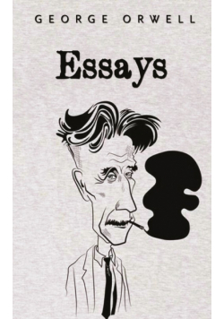 Essays