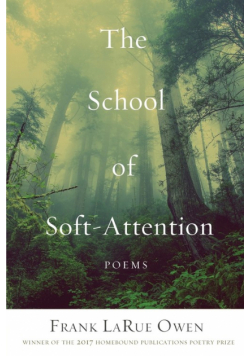 The School of Soft Attention