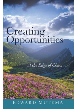 Creating Opportunities at the Edge of Chaos