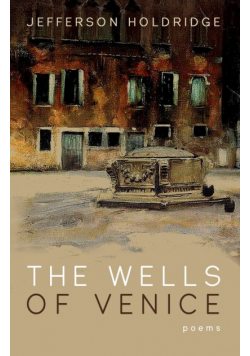 The Wells of Venice