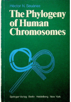 The Phylogeny of Human Chromosomes