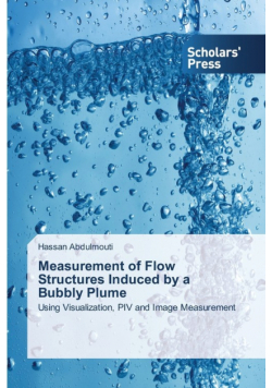 Measurement of Flow Structures Induced by a Bubbly Plume